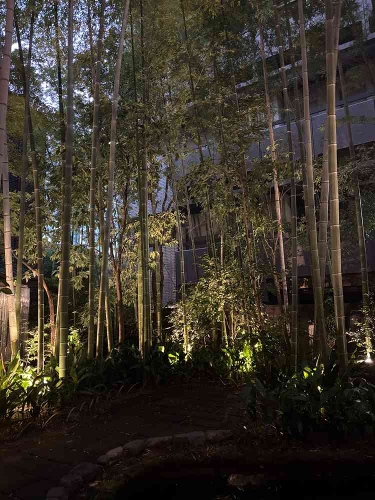 竹林は雰囲気があって素敵でした