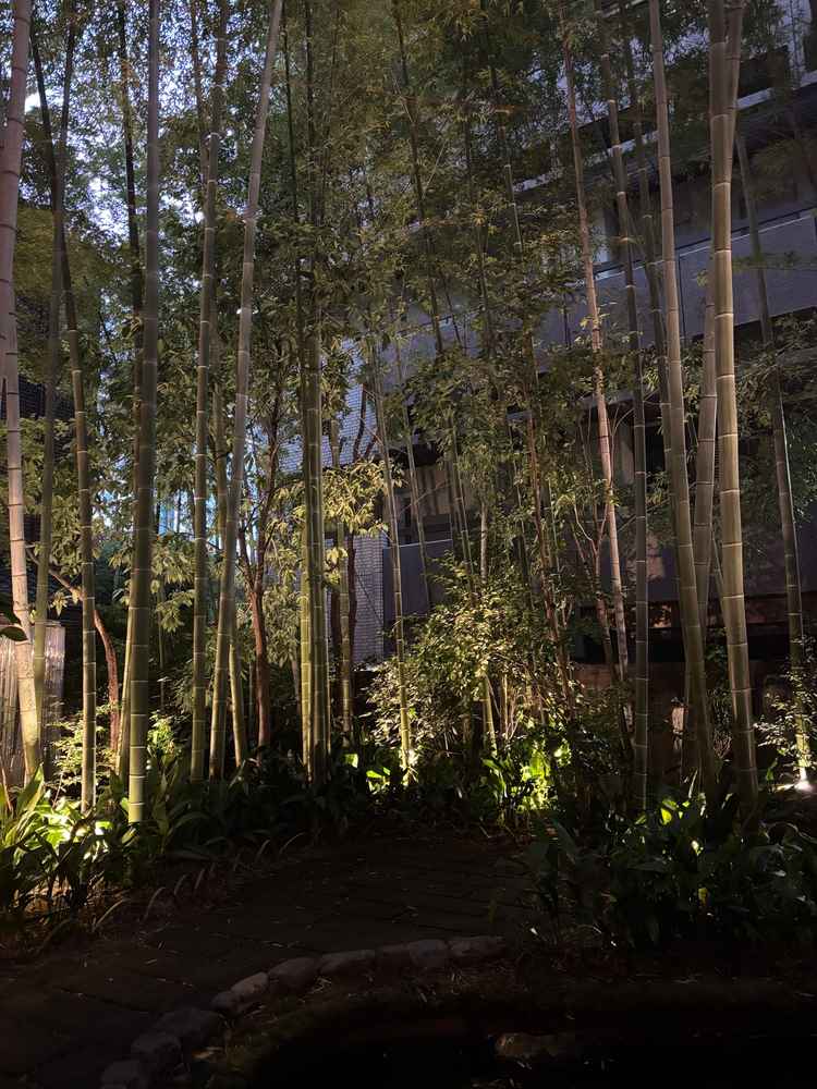 竹林は雰囲気があって素敵でした