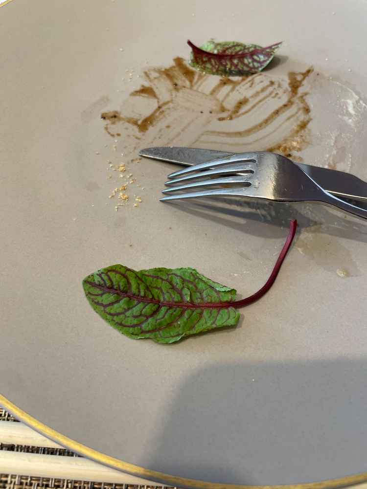 プレートに乗っていたオシャレな葉っぱ。初めて見たので食べれるのか調べた