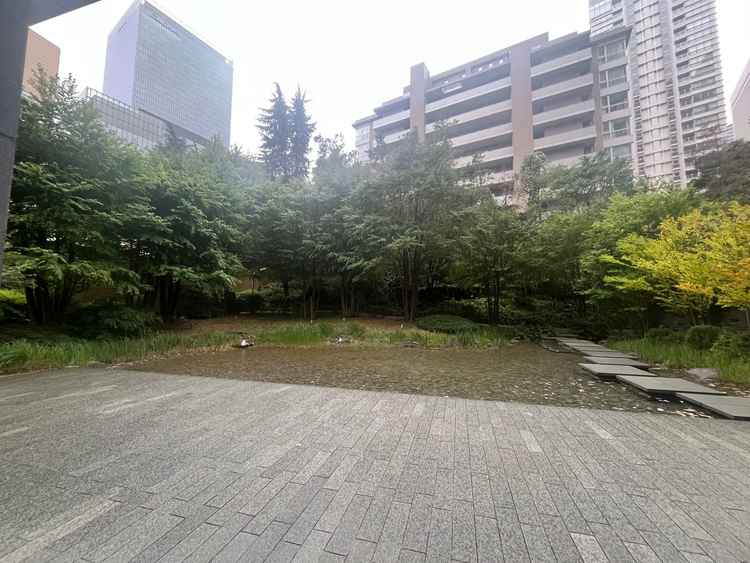 広めの会場から臨めるお庭は開放的で立派でした。外に出て写真を撮ることもできるようでした。