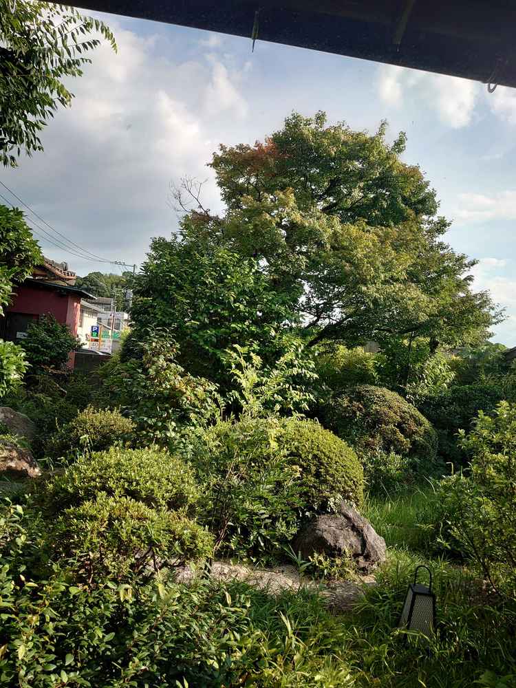 写真撮影等に使える和のテイストのお庭 こちらのお庭でウェディング写真を撮ることもできる和のテイスト