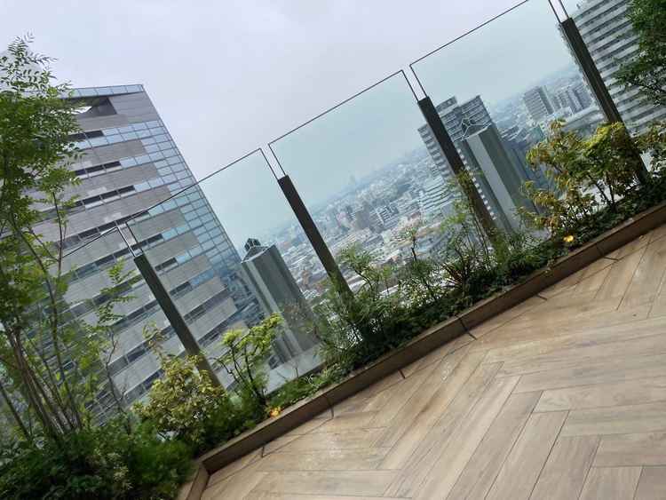 会場からの眺め