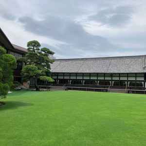 明治記念館の庭園の写真。芝の中にも入らせていただいて、緑がとても綺麗でした。
