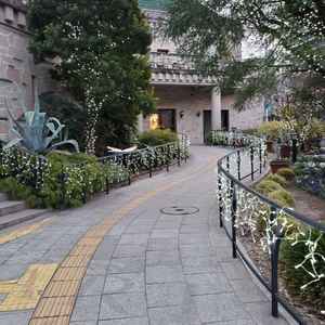 エントランスまでの道です。外にも緑が多いです。