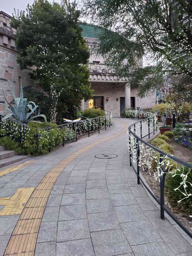 エントランスまでの道です。外にも緑が多いです。