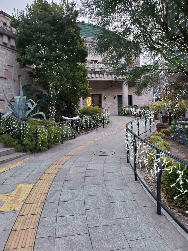 エントランスまでの道です。外にも緑が多いです。