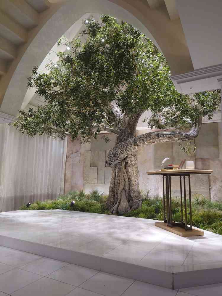 チャペルにあるシンボルツリーであるオリーブの木。想像より大きく、包みこんでくれるような優しい雰囲気