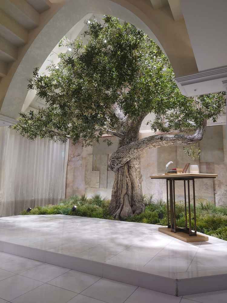 チャペルにあるシンボルツリーであるオリーブの木。想像より大きく、包みこんでくれるような優しい雰囲気