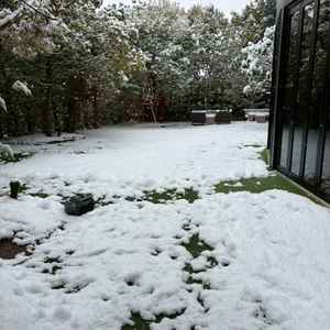 披露宴会場に隣接しているガーデン