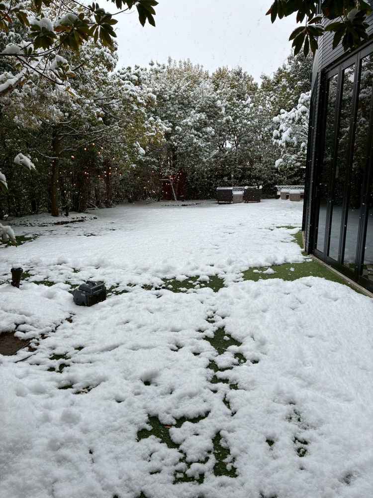 披露宴会場に隣接しているガーデン