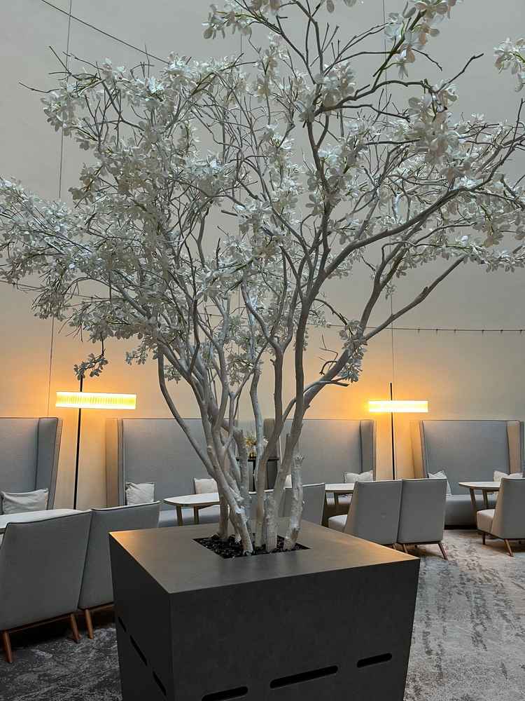 ウェルカムスペース