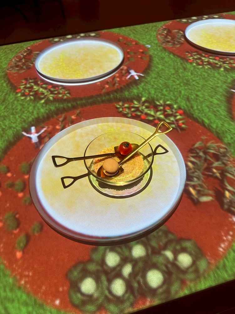 マッピング演出。苦手な食材は変更していただけた。