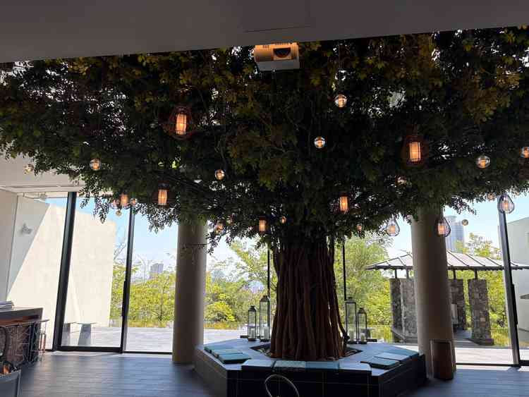 披露宴会場のモンスーンヴィラの会場です。挙式会場の中に大きな木があるのは珍しかったです。