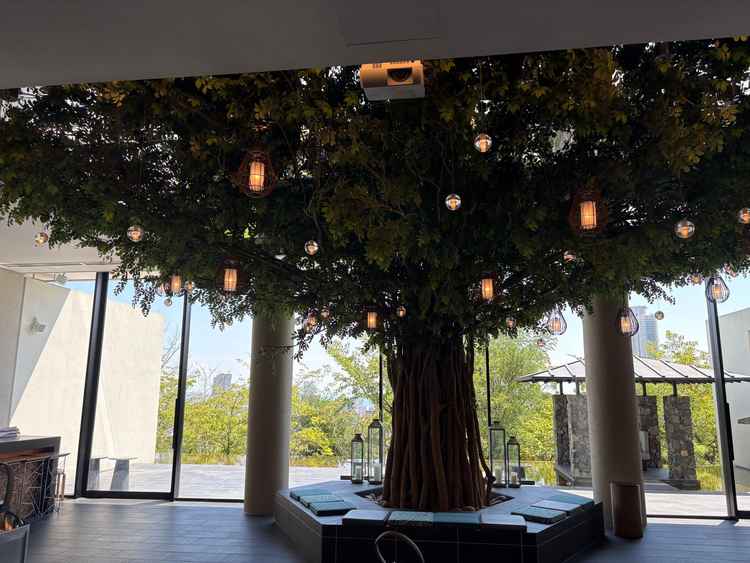 披露宴会場のモンスーンヴィラの会場です。挙式会場の中に大きな木があるのは珍しかったです。