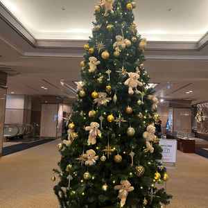 ロビーに大きな可愛いツリーが飾られていました。11月から展示されているそうで、癒されました。