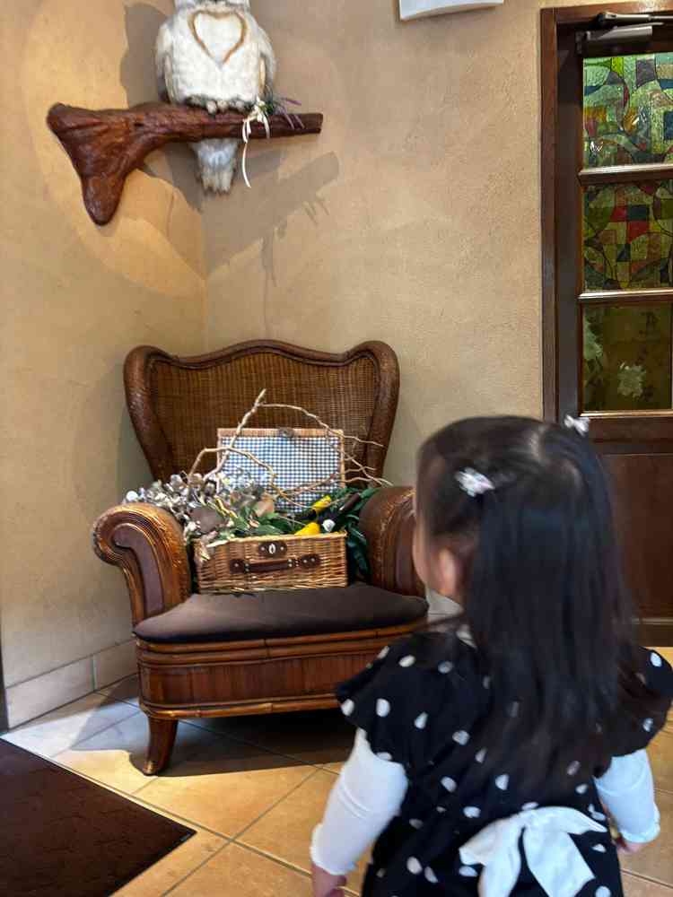 動くフクロウがいて可愛かったです！