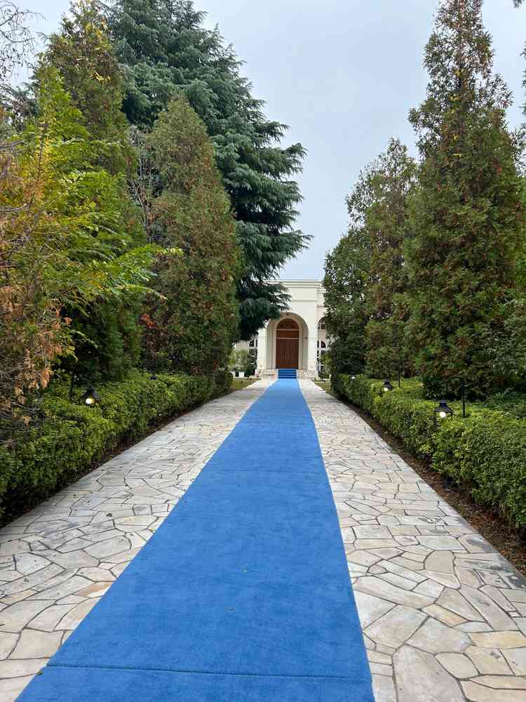 エントランスから続くブルーのカーペットが印象的で、とても素敵でした。