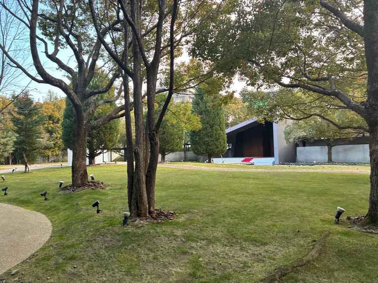 冬でも緑が豊かで素敵なお庭でした。