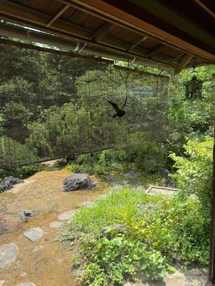 支度部屋から見えるお庭です。ガラスにカモメが飛んでいてかわいいです。