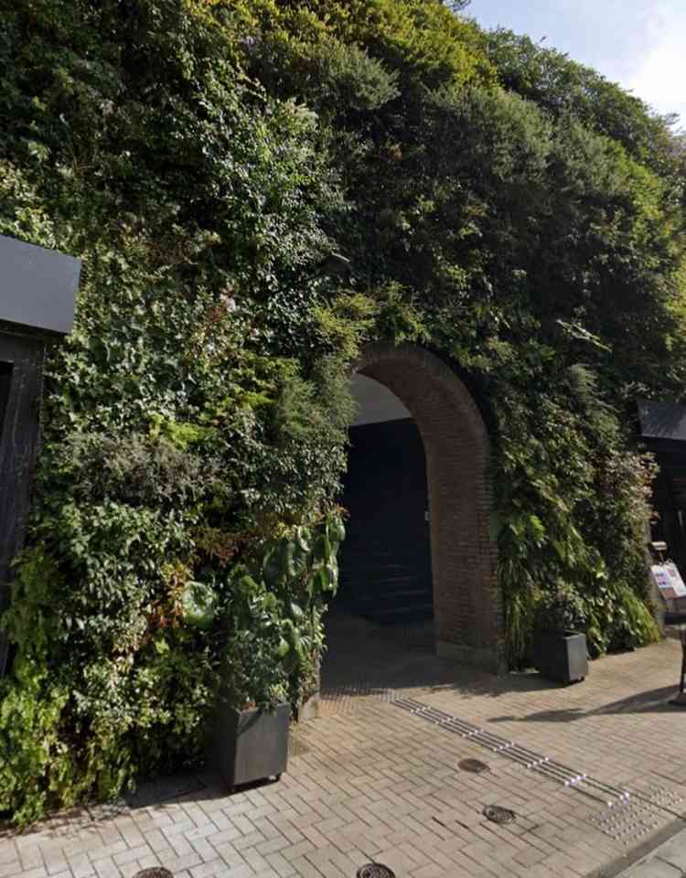 式場までの入り口です。緑に覆われており、トンネルのような入口をくぐると式場が見えます。