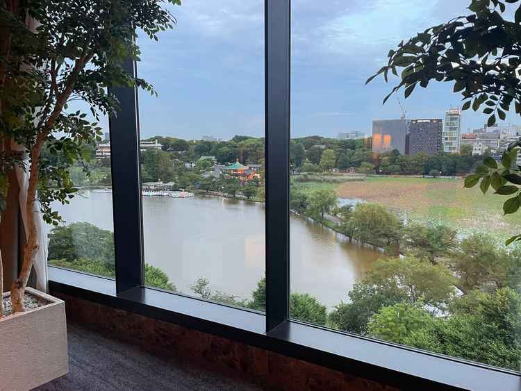 公園の池も見れます。