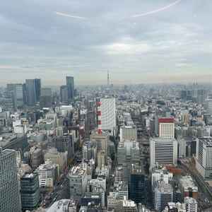 披露宴会場からの景色です。スカイツリーも見えて、曇り空でもとても綺麗でした。