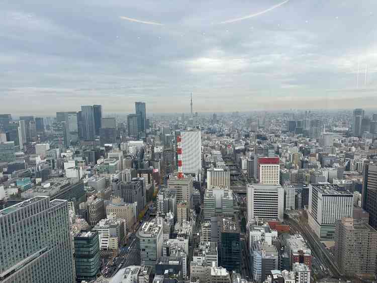 披露宴会場からの景色です。スカイツリーも見えて、曇り空でもとても綺麗でした。