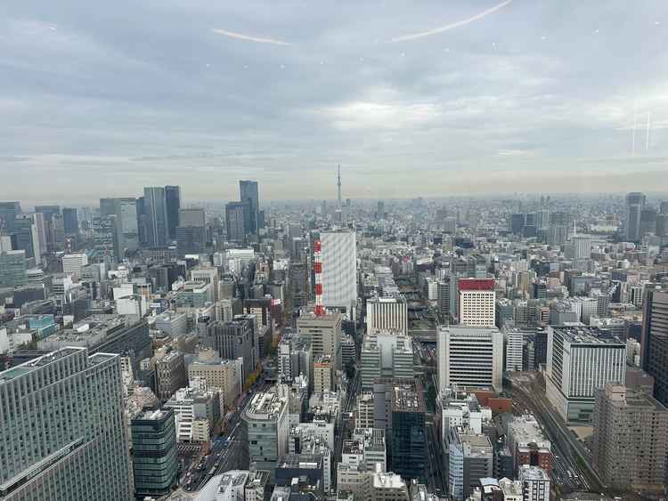披露宴会場からの景色です。スカイツリーも見えて、曇り空でもとても綺麗でした。