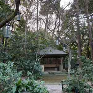 木々が高く外観が見えず没入感。高層建築不可の地域で周囲の景観が守られ将来も眺めが変わりにくく安心です