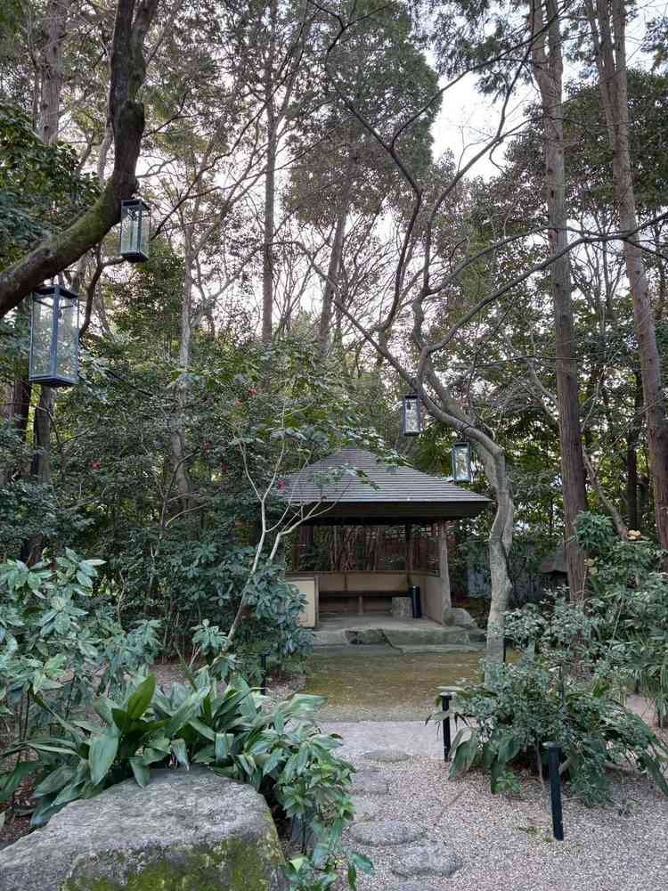 木々が高く外観が見えず没入感。高層建築不可の地域で周囲の景観が守られ将来も眺めが変わりにくく安心です