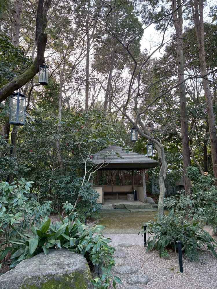 木々が高く外観が見えず没入感。高層建築不可の地域で周囲の景観が守られ将来も眺めが変わりにくく安心です