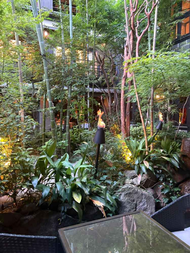 火やコイが泳いでいる見るだけで楽しい庭