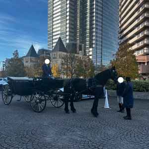 ホースパレードの前に見させてもらいました。