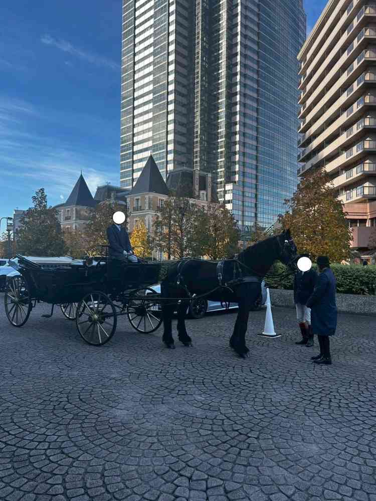 ホースパレードの前に見させてもらいました。