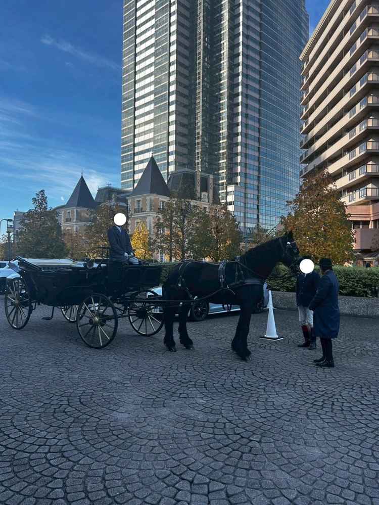 ホースパレードの前に見させてもらいました。