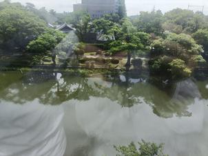 深いみどりが綺麗なロケーションで、雨が降っていても趣がありそうだなと思った。