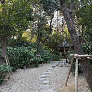 駐車場から入ってすぐのお庭。木々が生い茂っていて、和の雰囲気も感じられて落ち着いた雰囲気。