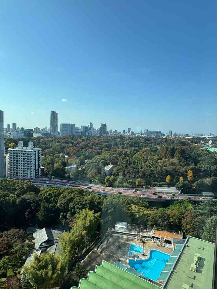 披露宴会場から見る景色は本当に素晴らしかったです。都会なのに緑も見えて、とても感動しました、