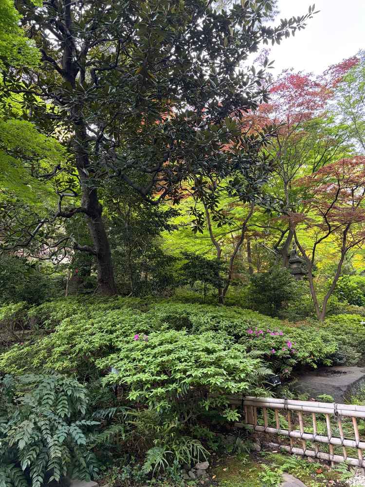 中庭の写真です。とても良い雰囲気でした。