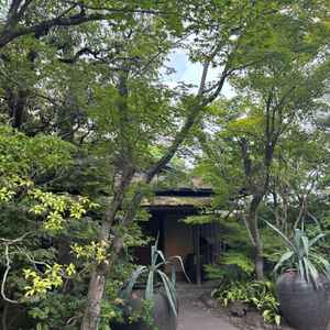 待合室の外の庭園