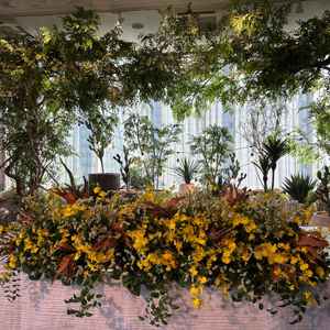 後ろの植物はデフォルトで置いてあるそうです