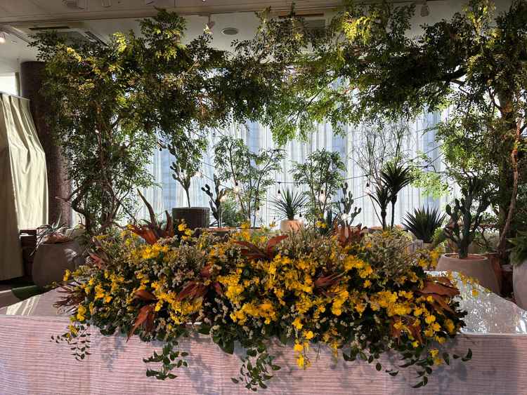 後ろの植物はデフォルトで置いてあるそうです