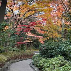挙式会場までの道。四季を感じられそう。