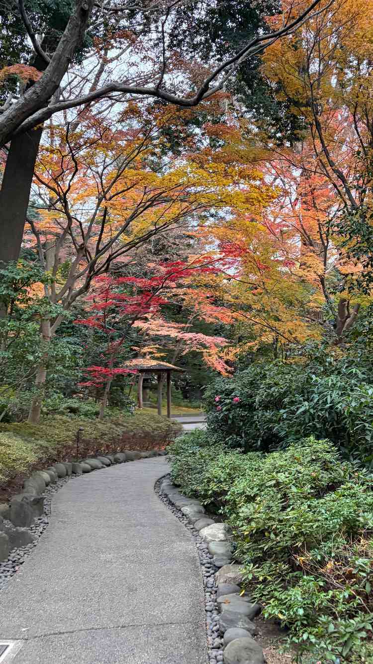 挙式会場までの道。四季を感じられそう。