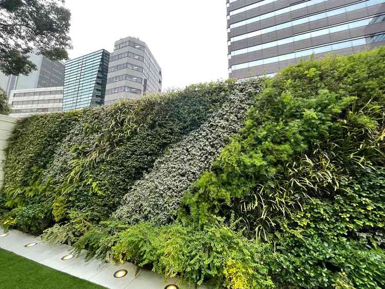 ガーデンから見える景色。都会のビルは見えましたが、写真撮影では写らないので安心です。