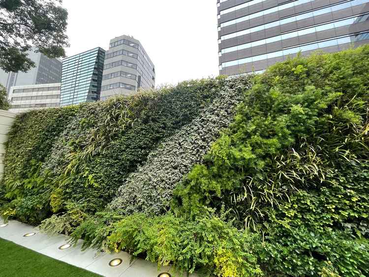 ガーデンから見える景色。都会のビルは見えましたが、写真撮影では写らないので安心です。