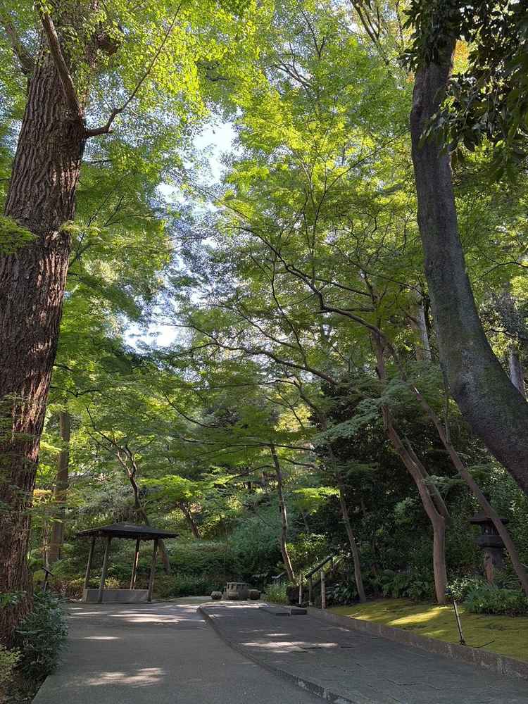 独立チャペルまでの庭園。当日は挙式中は貸切となる。都心とは思えない落ち着きと特別感がある。