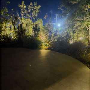 フラワーシャワーやブーケトスを楽しめます。写真映えするそうで楽しい思い出が残せるそうです。