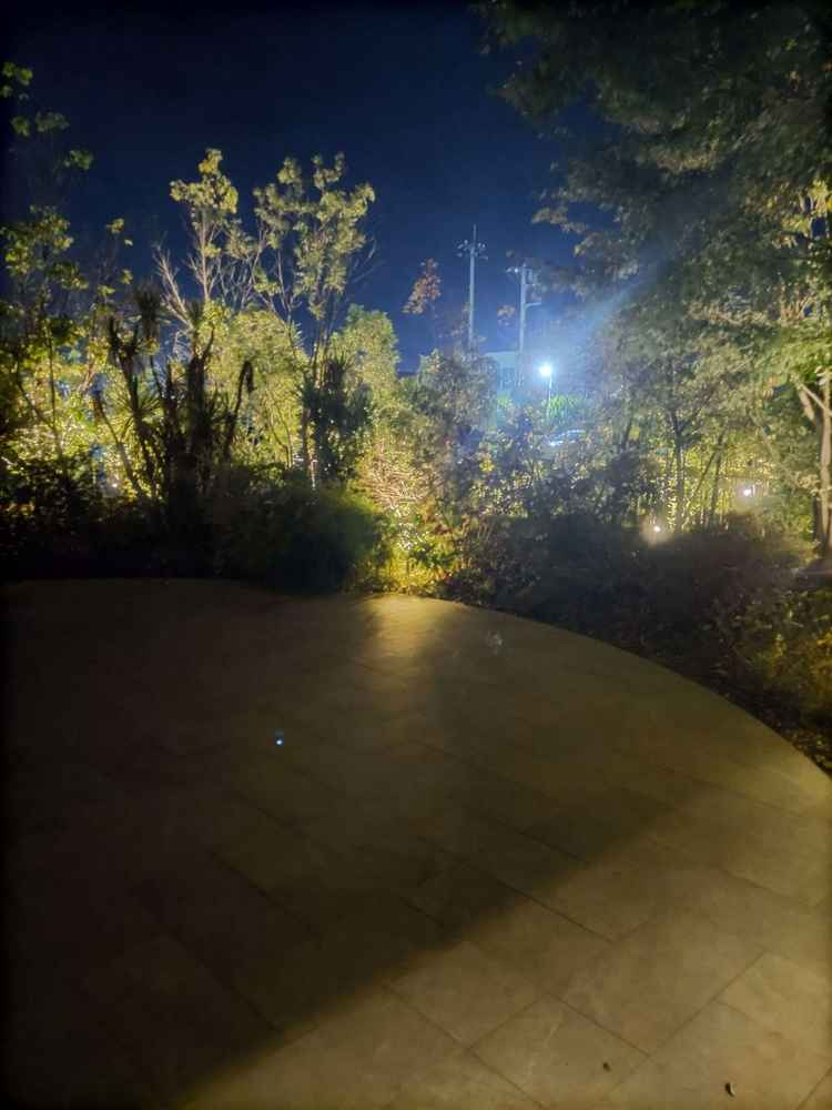 フラワーシャワーやブーケトスを楽しめます。写真映えするそうで楽しい思い出が残せるそうです。