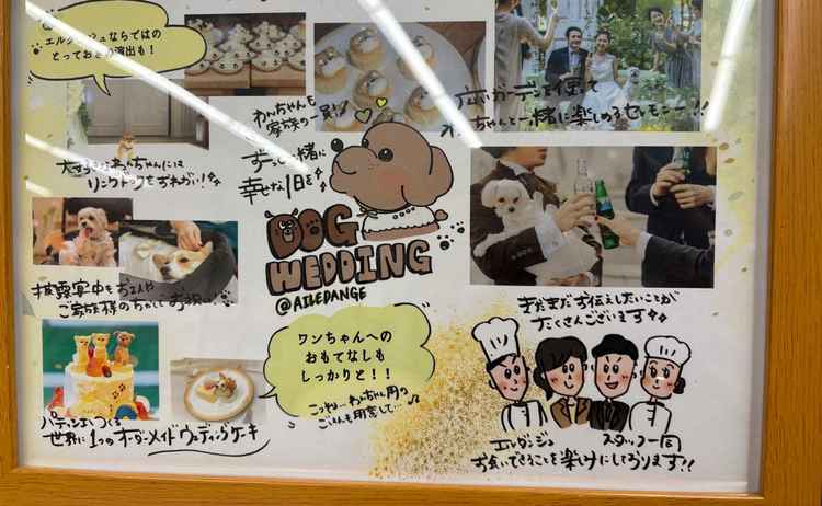 リングドッグについて言及した所見せられたもの